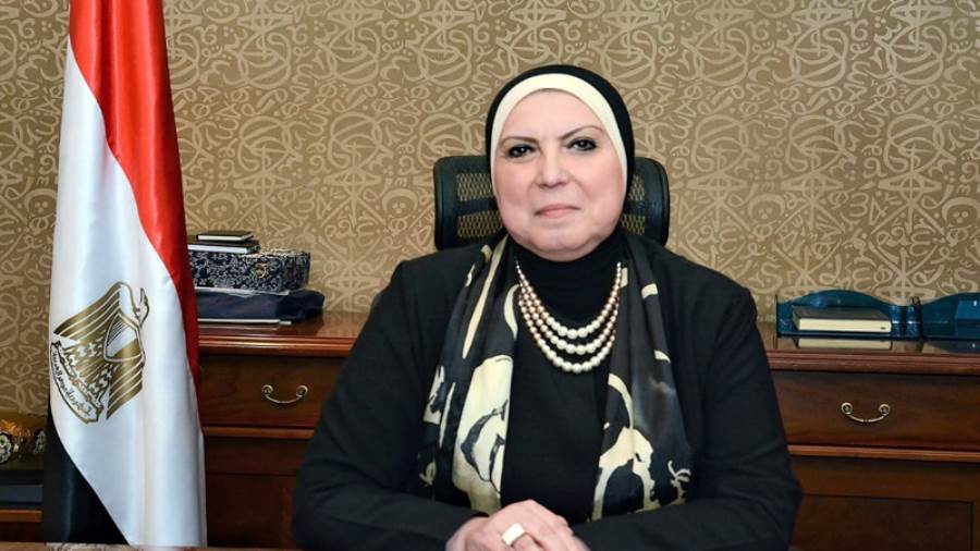 نيفين جامع وزيرة التجارة والصناعة