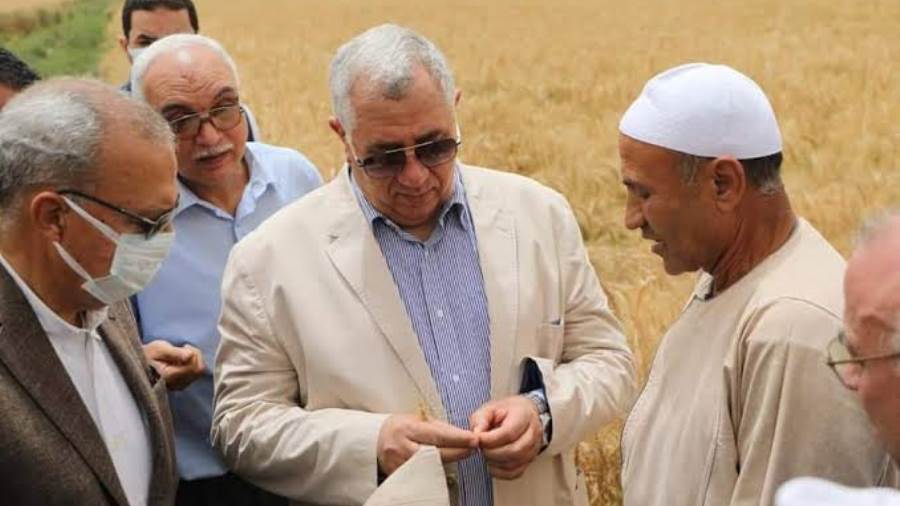 وزير الزراعة ومحافظ القليوبية يتفقدان حقول القمح