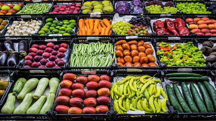 سعر الخضروات والفاكهة اليوم الثلاثاء 21يونيو 2022 في سوق العبور