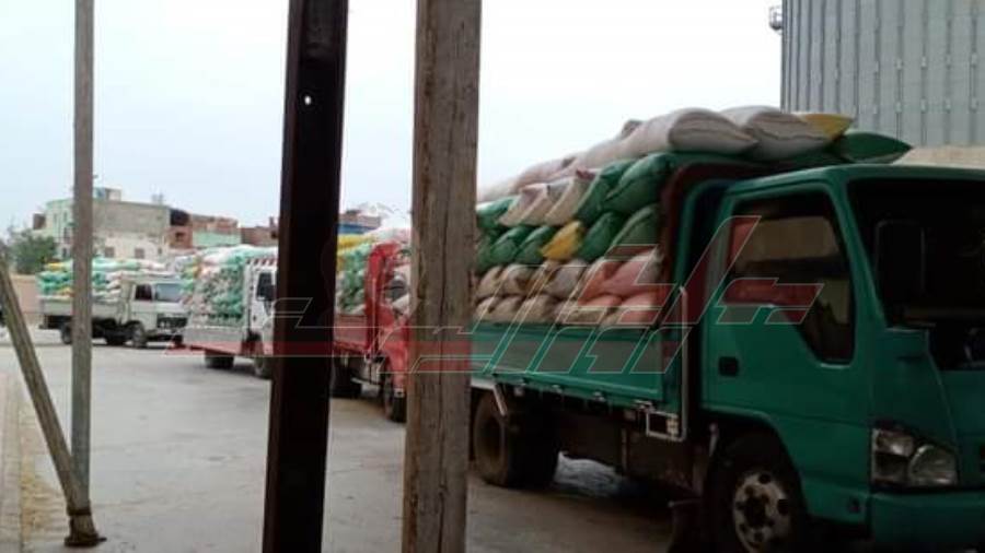 توريد القمح