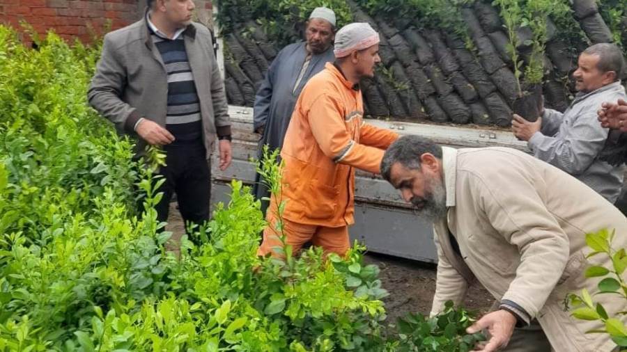 استمرار أعمال مبادرة رئيس الجمهورية 100 مليون شجرة بالبحيرة