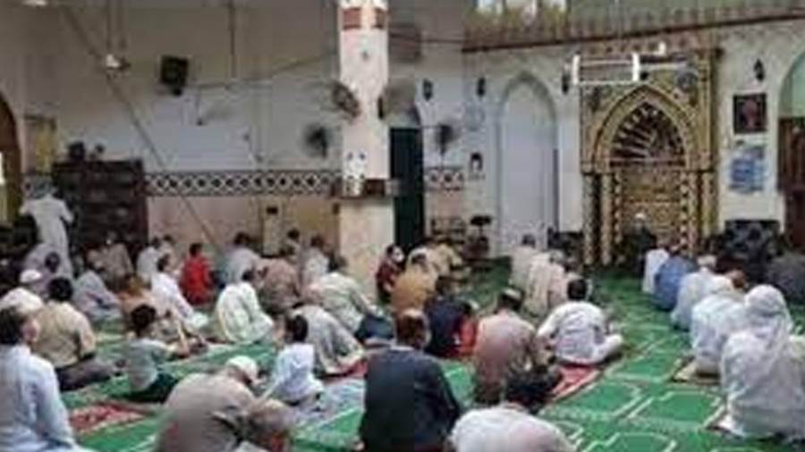 ارشيفية