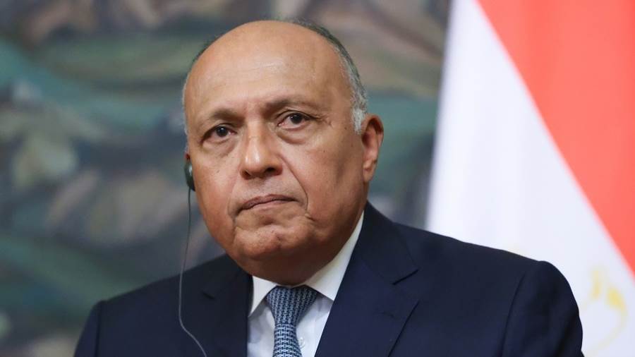 وزير الخارجية سامح شكرى
