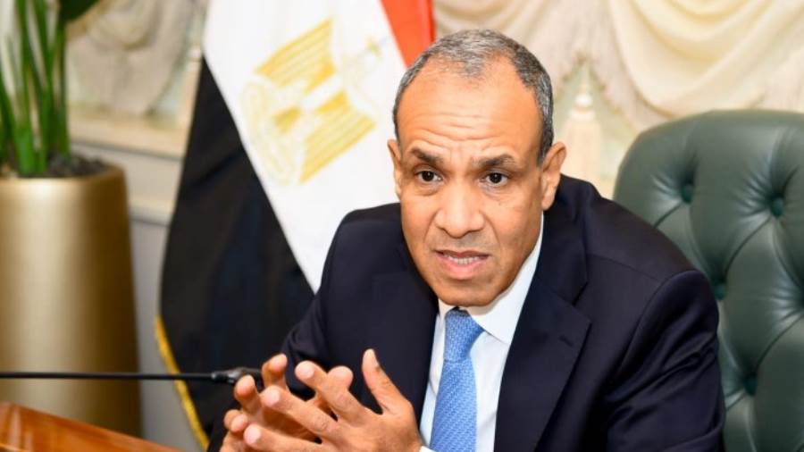 د.بدر عبد العاطي وزير الخارجية