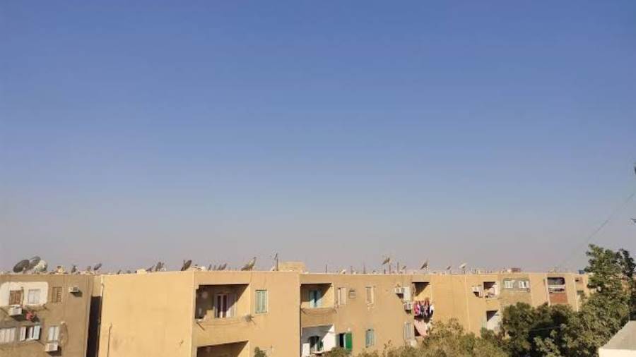 ارشيفية