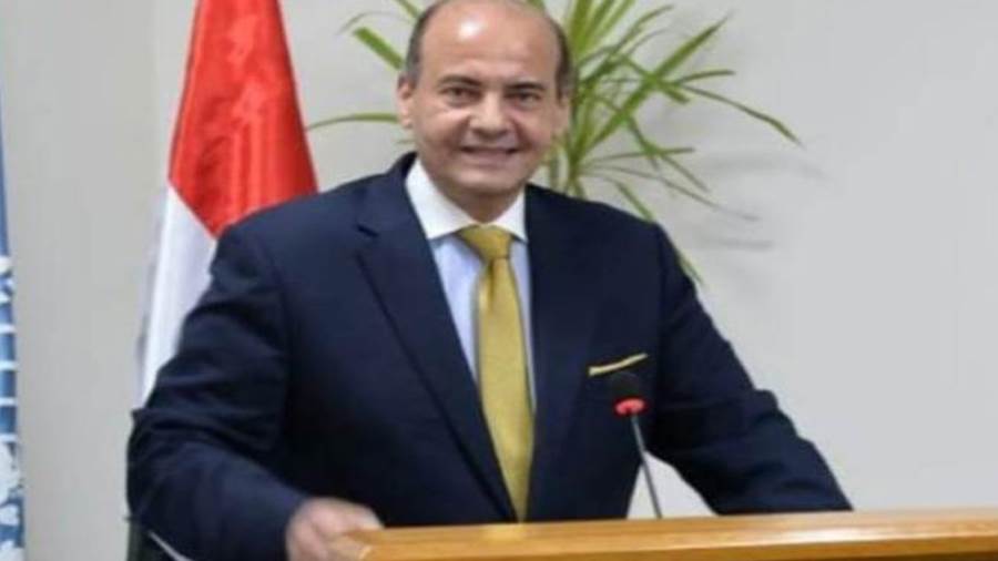 السفير الدكتور سامح أبو العينين