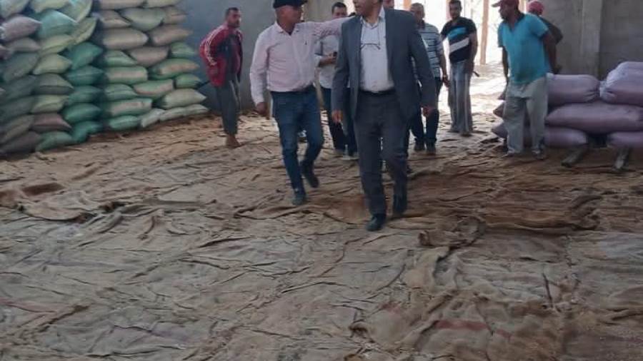 توريد 88 ألف طن من القمح للشون والصوامع بالمنيا توريد 88 ألف طن من القمح للشون والصوامع بالمنيا