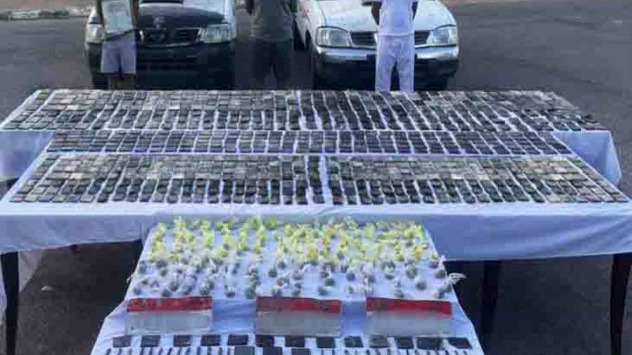 المضبوطات