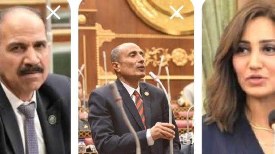 تحركات برلمانية لأعضاء الوادي الجديد: دعم للخطة الاقتصادية ومطالبات بحماية الشباب