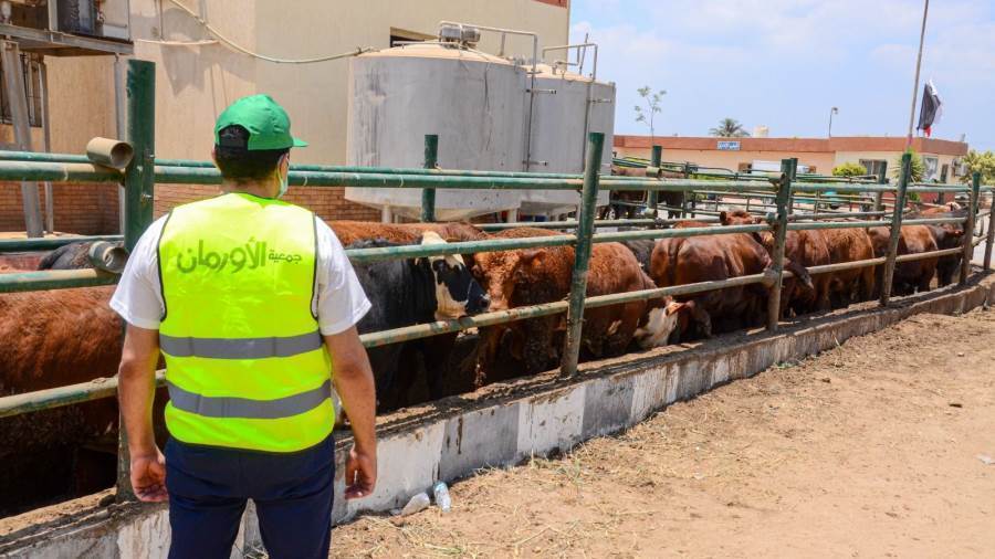 لحوم الأضاحى