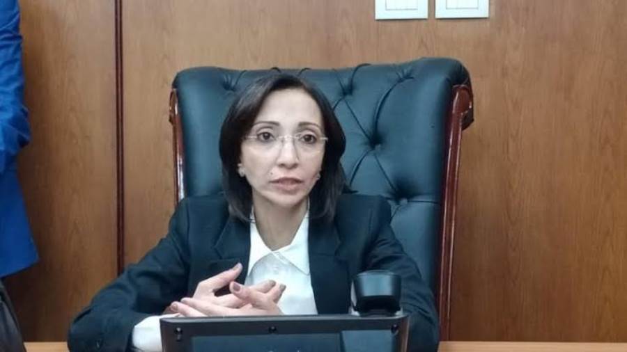 محافظ البحيرة
