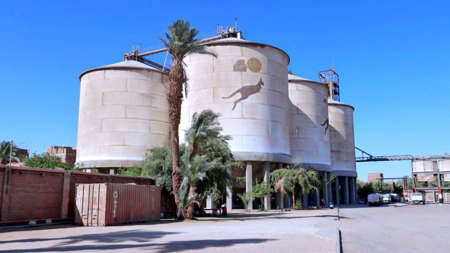 استقبال أكثر من 185 ألف طن أقماح بالشون والصوامع