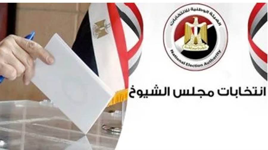 ارشيفية-جولة الإعادة بانتخابات مجلس الشيوخ