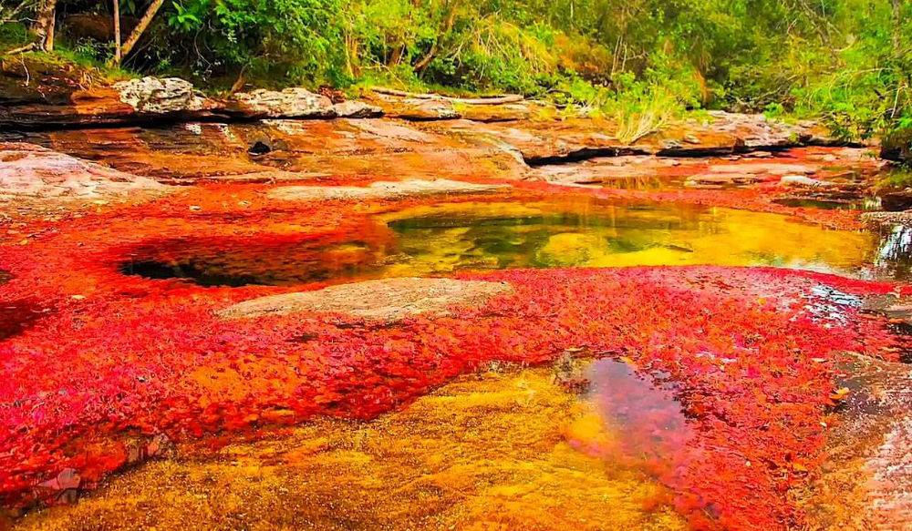 النهر يتمتع بألوانه البديعة