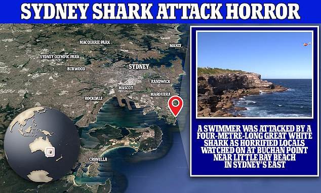  وقع أول هجوم قاتل لأسماك القرش في سيدني منذ عام 1963 في منطقة بوشان بوينت في شرق سيدني
