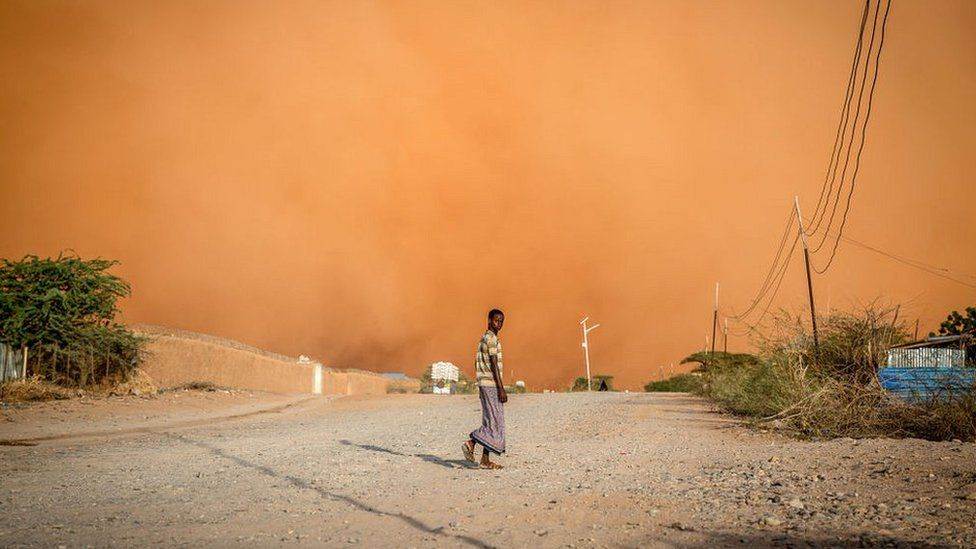 الجفاف في الصومال - عانت البلاد من ثلاثة مواسم ممطرة فاشلة على التوالي