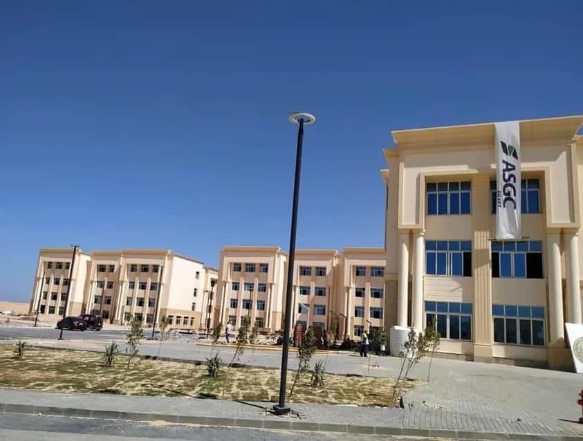 مشروعات التعليم العالي في سيناء