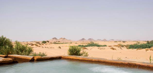 الواحات البحرية