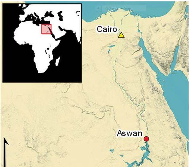 تم العثور على هذه المنحوتات بالقرب من مدينة أسوان جنوب مصر، بالقرب من الضفة الشرقية لنهر النيل.