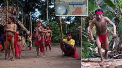 عاجل.. "كورونا" يخترق إنسان الغاب 