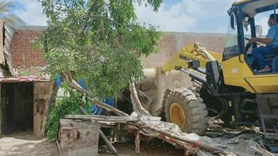 كفرالشيخ تسحق التعديات علي الأراضي الزراعية