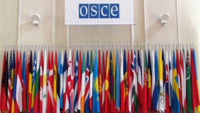 منظمة الأمن والتعاون الأوروبي تدين الاعتداءات على بعثتها في أوكرانيا