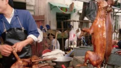 "أرض خصبة لكورونا".. افتتاح مهرجان لحوم الكلاب في الصين رغم معارضة الحكومة