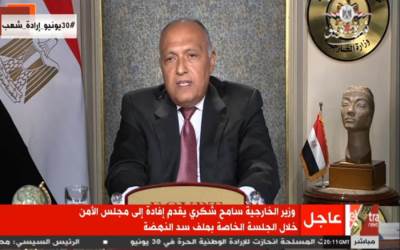 عاجل.. شكري لمجلس الأمن: أي قرار أحادي بشأن سد النهضة يهدد الأمن والسلم الدوليين