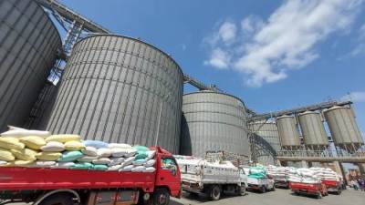 شون وصوامع محافظة البحيرة تستقبل 95 طن قمح