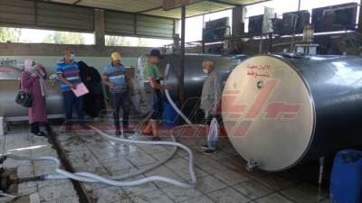 لجان جديدة للمرور على مراكز تجميع الألبان في بيلا بكفر الشيخ