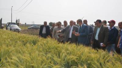 محافظ القليوبية للمزارعين: عقوبات للممتنعين عن تسليم القمح بمنع صرف الأسمدة المدعمة 
