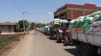 محافظ كفر الشيخ يشيد بالإقبال على توريد القمح بالشون والصوامع