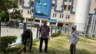 "بني سويف": فعاليات المبادرة الرئاسية لزراعة 100مليون شجرة