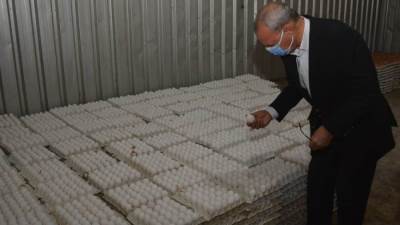 محافظ القليوبية: استغلال المساحات والمتخللات من الأراضي لإقامة مشروعات زراعية