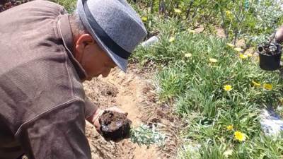 محافظ الإسكندرية: خلال أسبوعين زراعة نحو ١٠ آلاف شجرة مثمرة وغير مثمرة بأحياء الإسكندرية