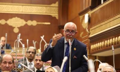 الجندي: قرار البرلمان الأوربي مبني علي أكاذيب