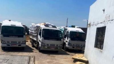 توريد 14741 طن قمح لـ56 موقعًا تخزينيًا بالشرقية 