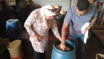 تموين كفرالشيخ يضبط طن فسيخ غير صالح للاستهلاك الآدمي