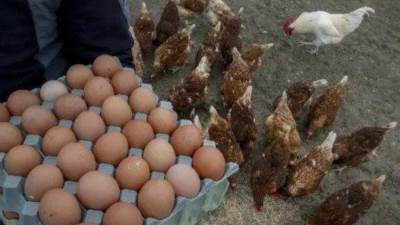 عاجل| "البيض" يهدد خطة فرض ترامب رسوم جمركية على دولتين.. تعرف عليها