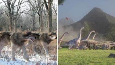 عاجل.. مخاوف على حياة البشرية..  الذئب الرهيب "يعود من الانقراض" 