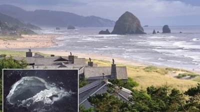 عاجل.. فشل توقعات العلماء الأمريكيين بشأن ثوران  بركان جبل أكسيال البحري