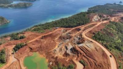 عاجل.. بطاريات السيارات الكهربائية تهدد الجنة البحرية