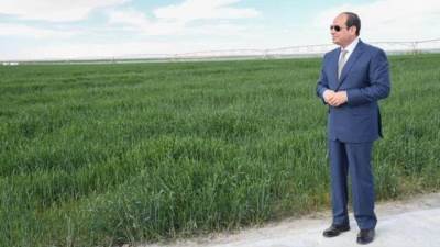  حصن الأمن الغذائى