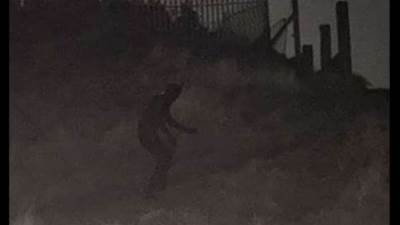 عاجل.. قطة سوداء تثير الرعب في الحي الهادئ 