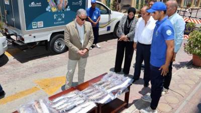 محافظة الإسماعيلية تواصل جهودها في توفير الأسماك والسلع الأساسية بأسعار مخفضة وجودة عالية 