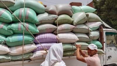 صوامع المنيا تستقبل نصف مليون طن قمح بعد موسم الحصاد الحالي 2025