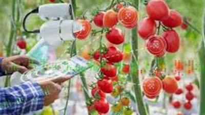 الطاقة الذرية: استخدام تقنيات معالجة الأغذية بالإشعاع لتعزيز الأمن الغذائي 