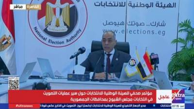 الوطنية للانتخابات تعلن انتظام العمل باللجان الفرعية بانتخابات مجلس الشيوخ 2025