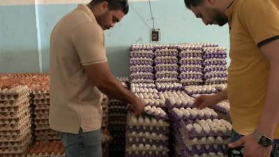 بالصور..ضبط 300 ألف بيضة تحتوى على حشرات و11 ألف قطعة شيكولاته منتهية بالغربية|