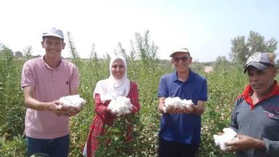 بعد نجاح زراعة القطن بصحراء طور سيناء.. تعليق عاجل من وزير الزراعة 